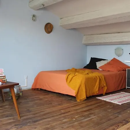 Duplex Climatise Avec Terrasse Apartament *