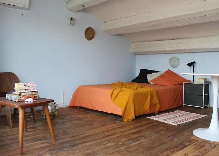 Duplex Climatise Avec Terrasse Apartment *